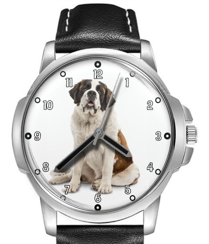 Saint bernard big - bernard, dog
