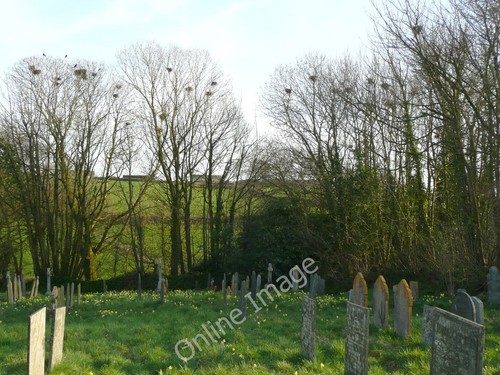 Photo 6x4 rookery shebbear - rookery,,