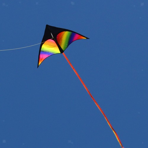Large delta kite - , for