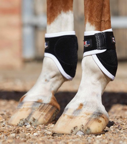 Premier equine magni - premier,