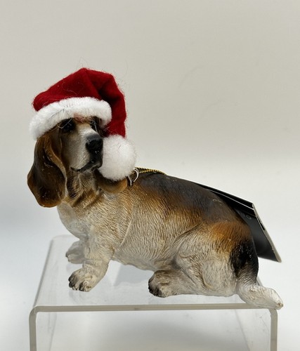 Basset hound dog - hound,