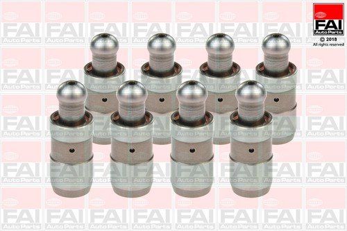 Hydraulic lifters fits audi - 8,