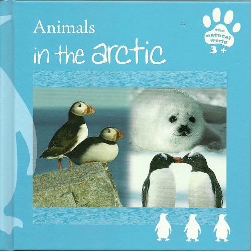 Animals the arctic natural - animals,