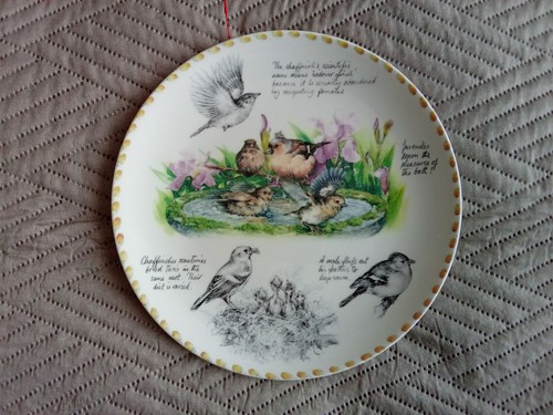 Complete set wedgewood - of, 12
