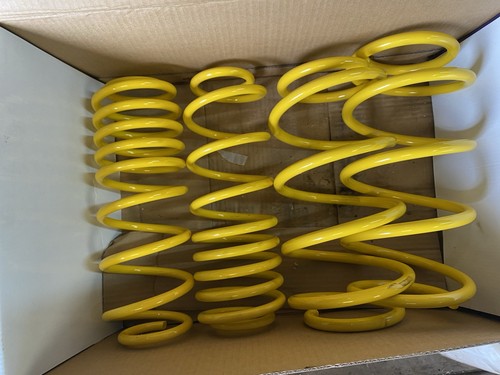 Max lowering spring kit - spring,