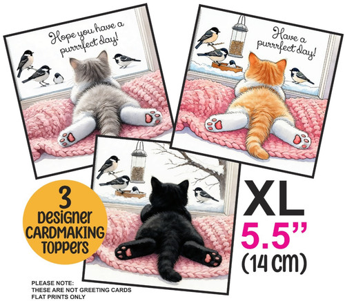 Kittens window xl card - xl,