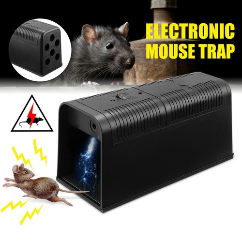 Mouse trap control rat - mouse,
