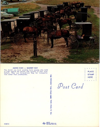 Amish horse buggies - horse, day