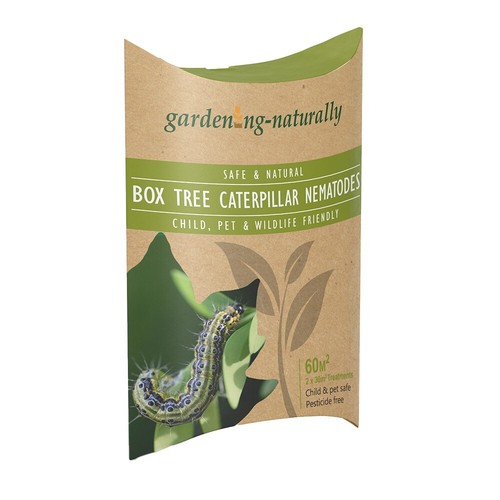 Box tree moth - box,
