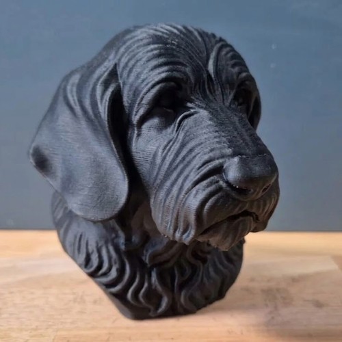 Otterhound dog bust - bust, home