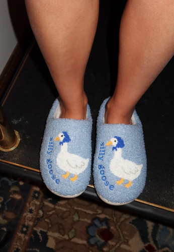 Silly goose blue - silly,
