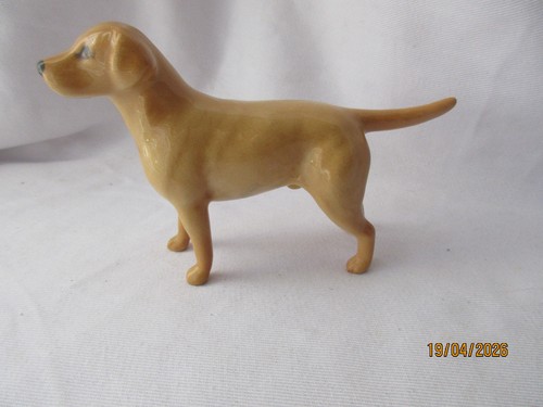 Beswick golden labrador dog - golden,