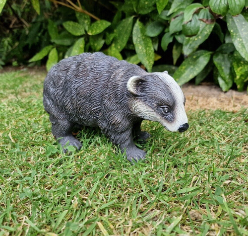 Small badger outdoor - small,