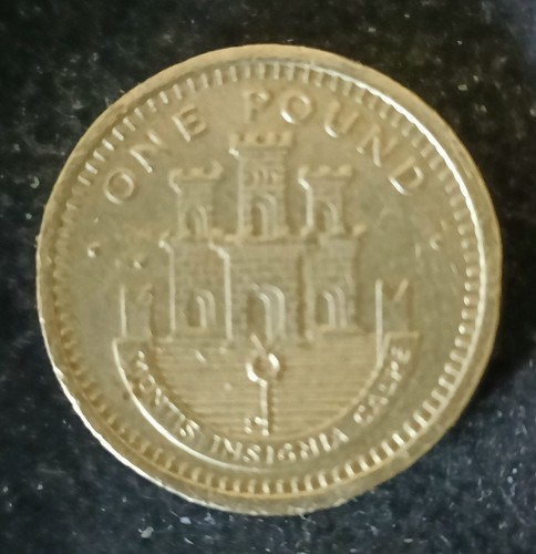 0734 gibraltar pound - pound, coin