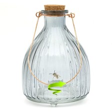 Glass wasp trap large hanging - wasp,
