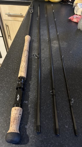 13ft 9wt double handed salmon - double,