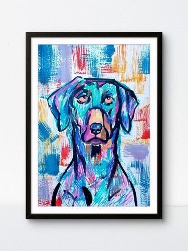 Ksuartventurist labrador dog - ksuartventurist,
