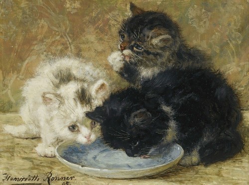 Henriette ronner knip - henriette,