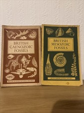 British caenozoic mesozoic - british,