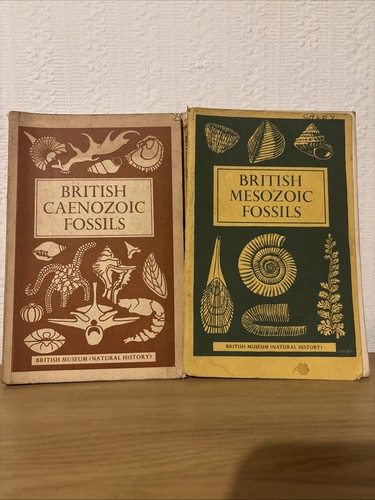 British caenozoic mesozoic - &,