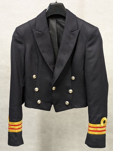 Royal navy surgeon - royal,