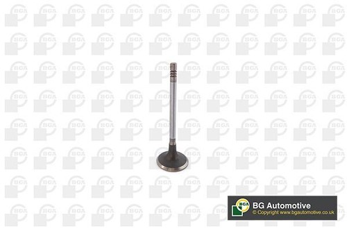 Inlet valve for citroen - inlet,