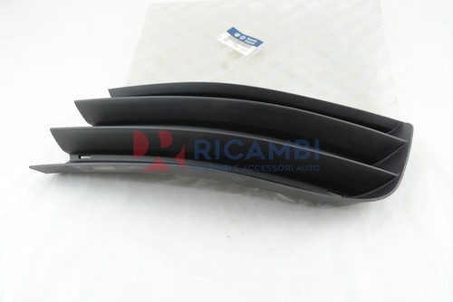 Front bumper molding diaphragm - bumper,