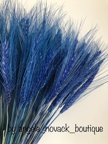 100 stems dried flowers - stems,