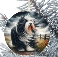 Bearded Collie Dog Hanging