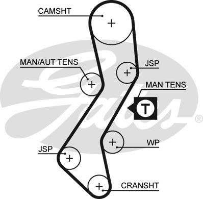 Genuine gates powergrip - gates, timing
