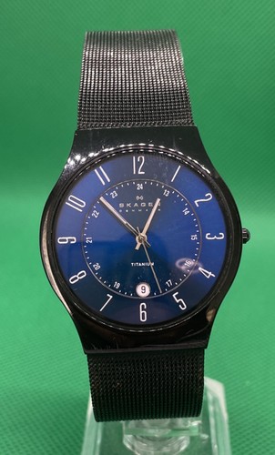 Skagen sundby titanium - sundby,