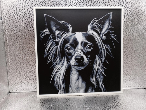 Chinese crested hueforge - chinese, –