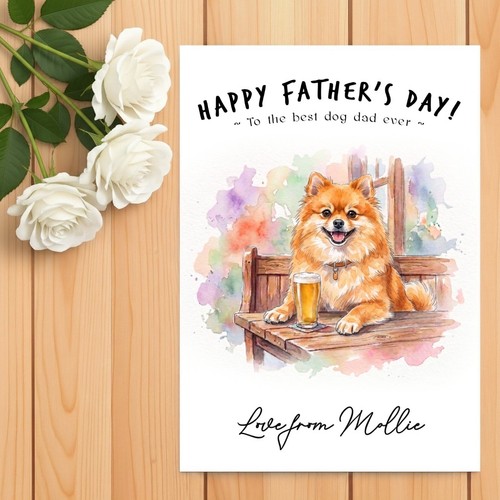 Pomeranian orange father - orange, father’s