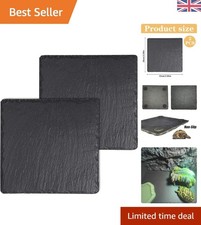 Durable 2 PCS Non-Slip Turtle