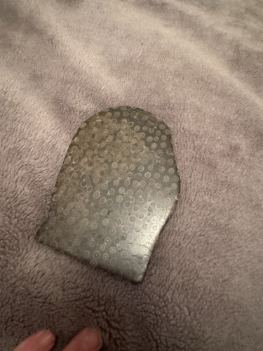 Large polished coral - large, fossil