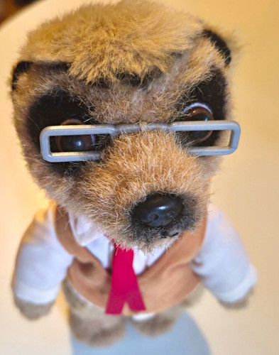 Plush meerkat soft toy wearing - plush,