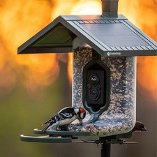 FeatherSnap Scout – Wi-Fi