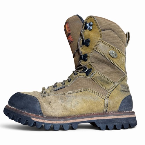 Irish setter 809 elk - irish,