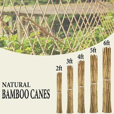 HEAVY DUTY BAMBOO CANES GARDEN