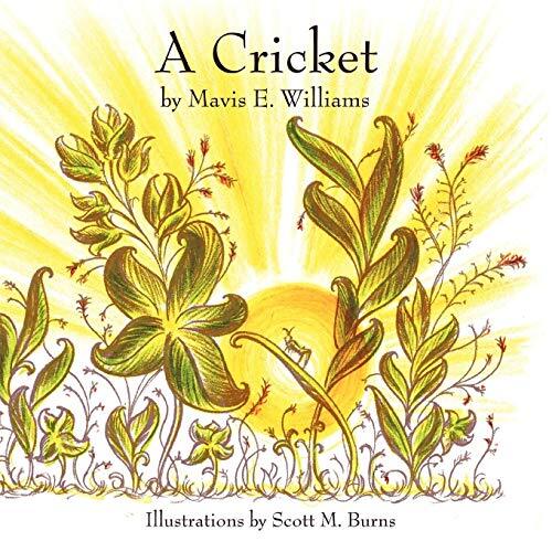 Cricket - a,
