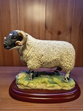 Sheep Country Show Blackfaced Ram Border Fine Arts Farm Yard Collection A0734 