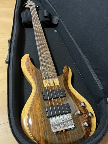 Aria pro string bass - ii, 5-string