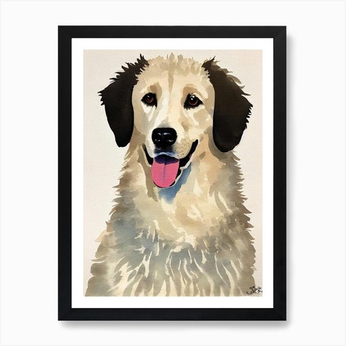 Kuvasz watercolour dog - watercolour,