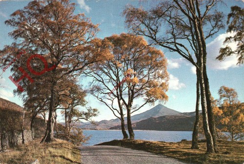 Picture postcard loch - picture, postcard;
