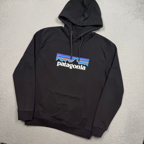 Patagonia hooded sweatshirt - patagonia,