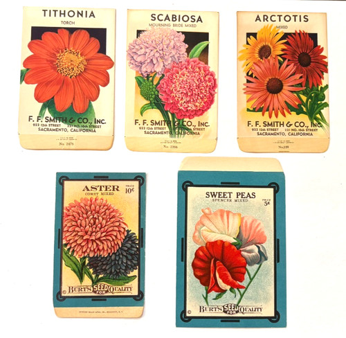 Set lovely vintage seed - set, (5)