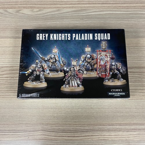 Grey knights paladin - paladin, squad