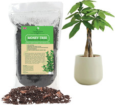 Money Tree Soil Mix for