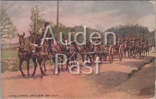 Royal horse artillery gun team - horse,