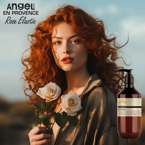 Angel provence rose - angel,